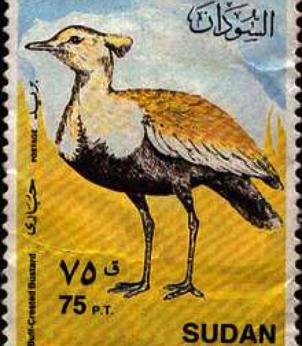 1818-Thumbnail Image-1.jpg