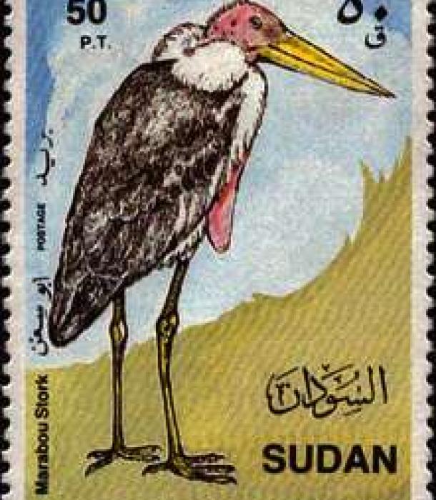 1819-Thumbnail Image-1.jpg