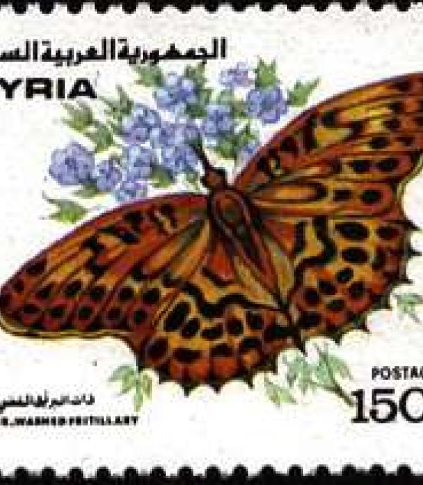 1822-Thumbnail Image-1.jpg