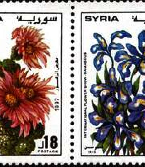 1823-Thumbnail Image-1.jpg