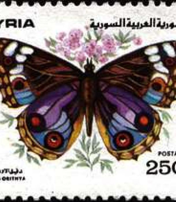 1824-Thumbnail Image-1.jpg