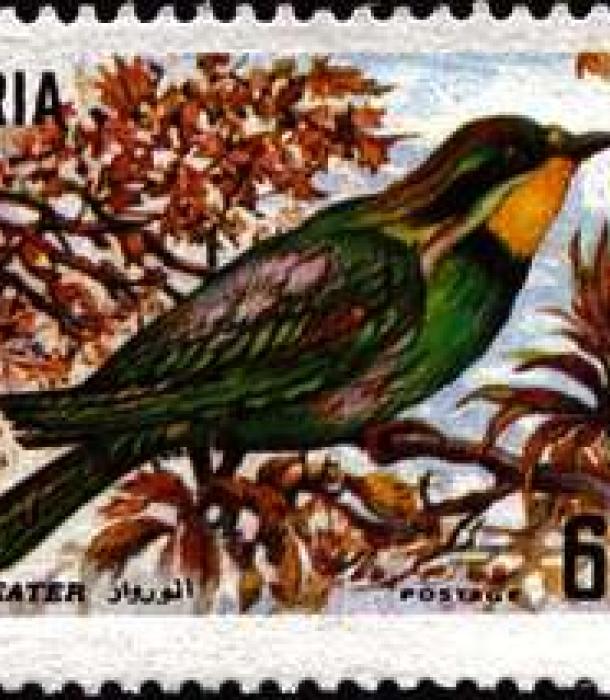 1829-Thumbnail Image-1.jpg