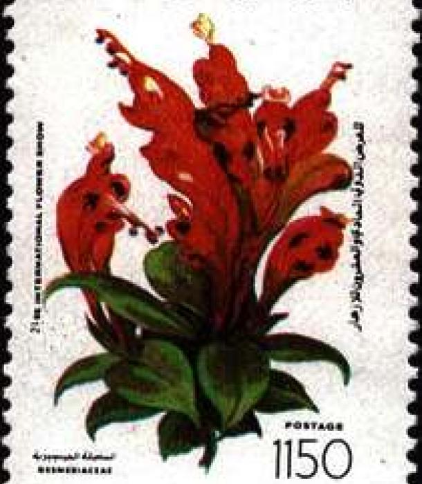 1831-Thumbnail Image-1.jpg