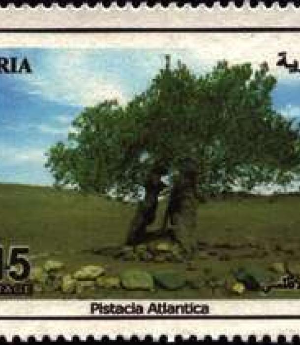 1832-Thumbnail Image-1.jpg