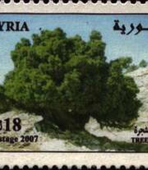 1833-Thumbnail Image-1.jpg