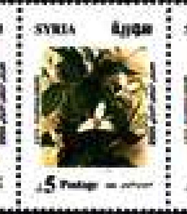 1834-Thumbnail Image-1.jpg