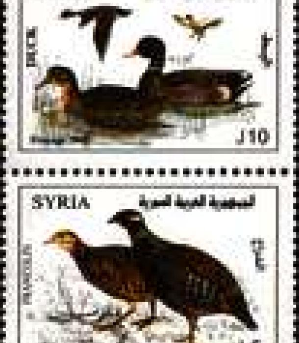 1835-Thumbnail Image-1.jpg