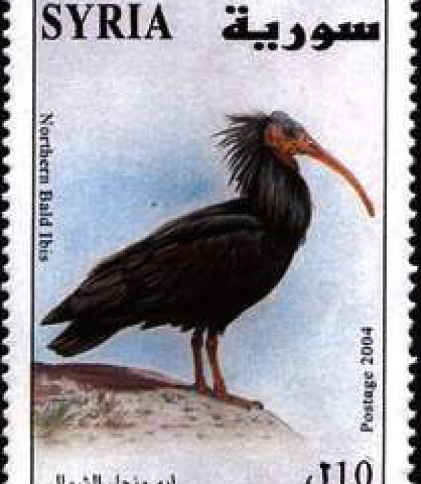 1836-Thumbnail Image-1.jpg