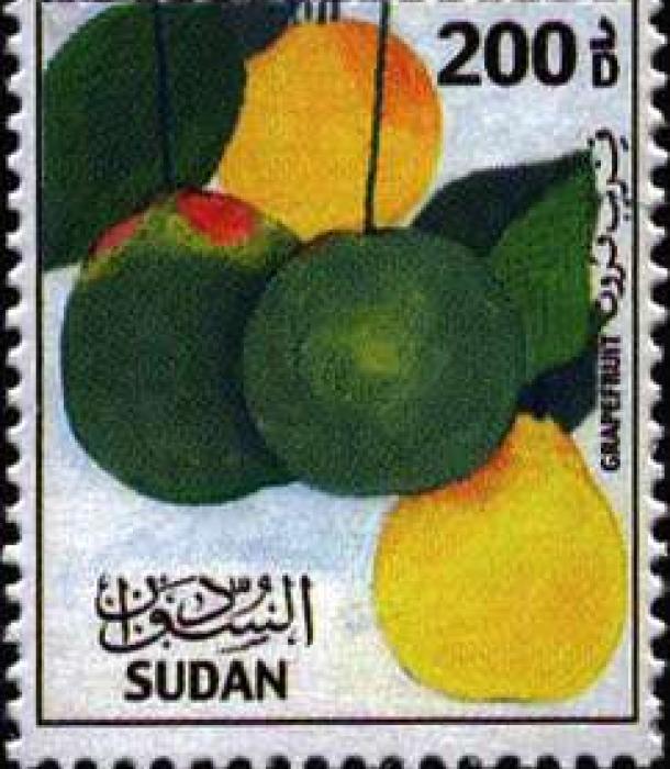 1837-Thumbnail Image-1.jpg