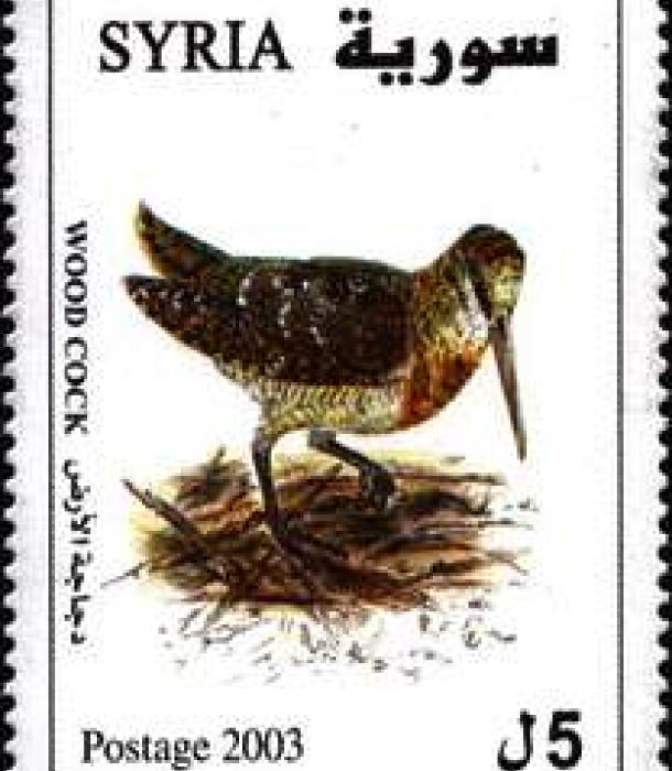 1838-Thumbnail Image-1.jpg
