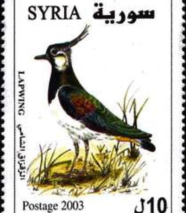 1839-Thumbnail Image-1.jpg