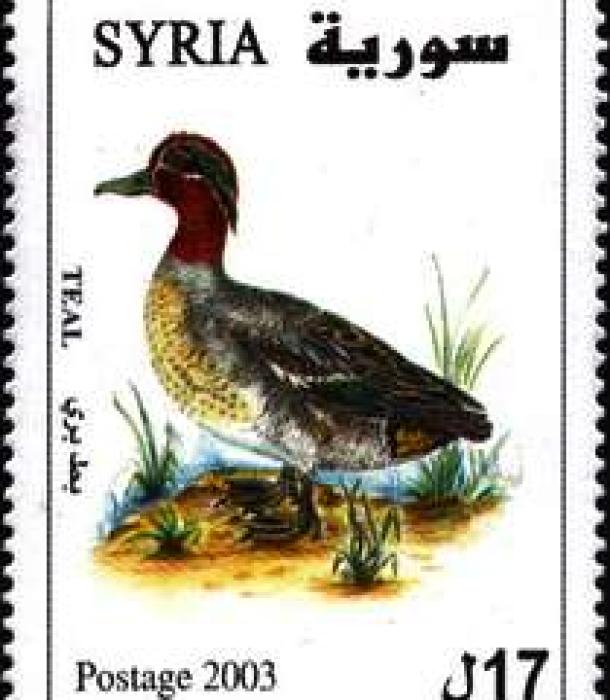 1841-Thumbnail Image-1.jpg