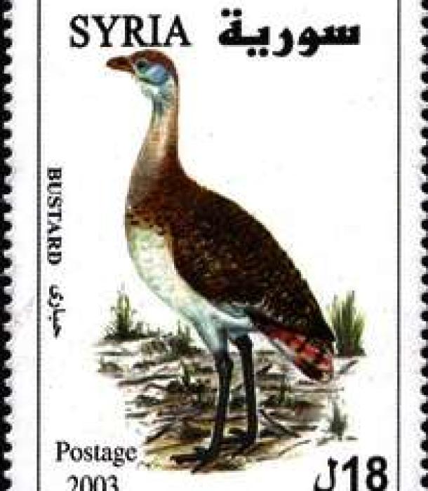 1843-Thumbnail Image-1.jpg
