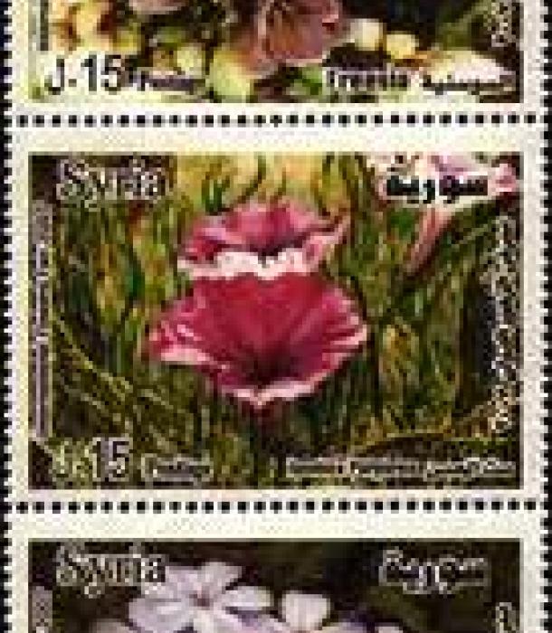 1844-Thumbnail Image-1.jpg
