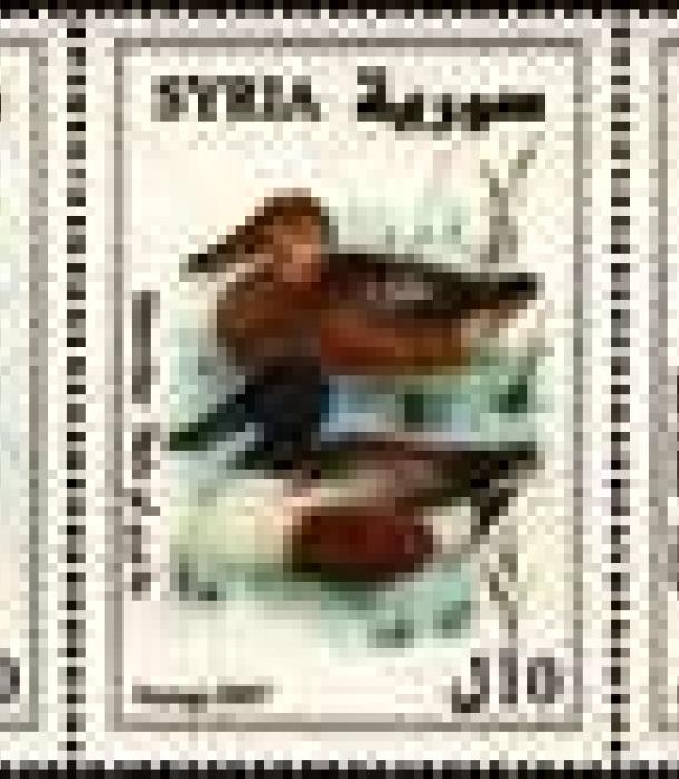1845-Thumbnail Image-1.jpg