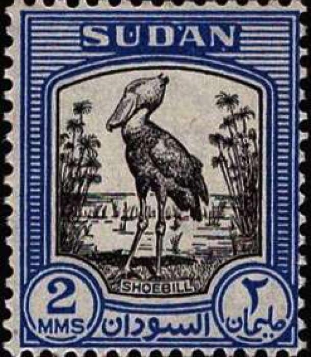 1847-Thumbnail Image-1.jpg