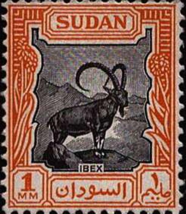 1848-Thumbnail Image-1.jpg