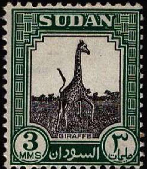 1849-Thumbnail Image-1.jpg