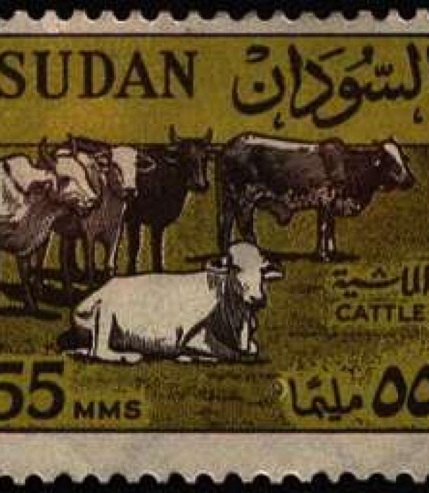 1851-Thumbnail Image-1.jpg