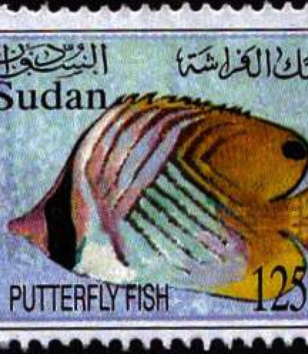 1853-Thumbnail Image-1.jpg