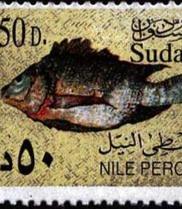 1855-Thumbnail Image-1.jpg
