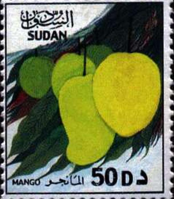 1856-Thumbnail Image-1.jpg
