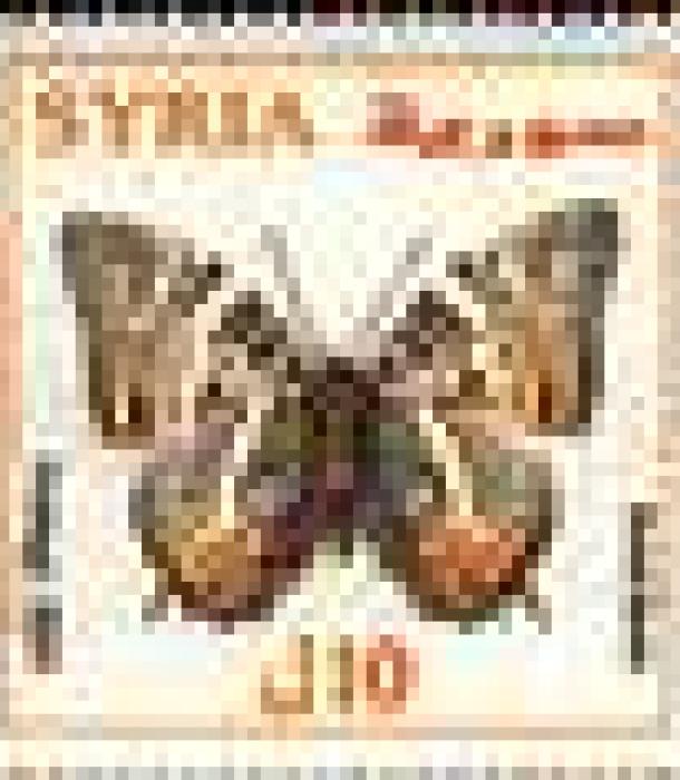 1857-Thumbnail Image-1.jpg