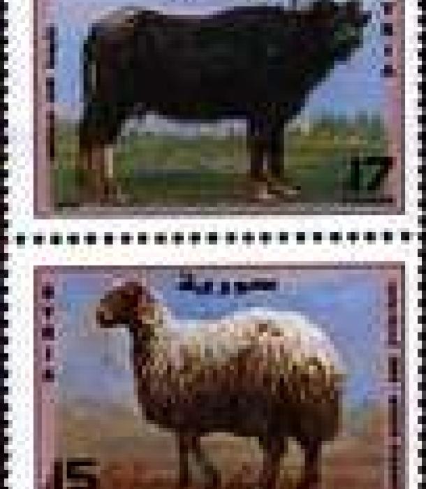 1859-Thumbnail Image-1.jpg