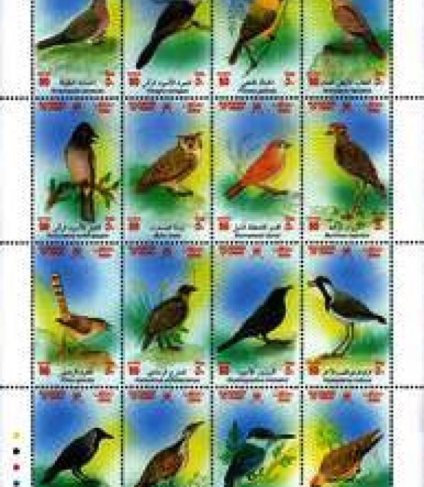 1975-Thumbnail Image-1.jpg