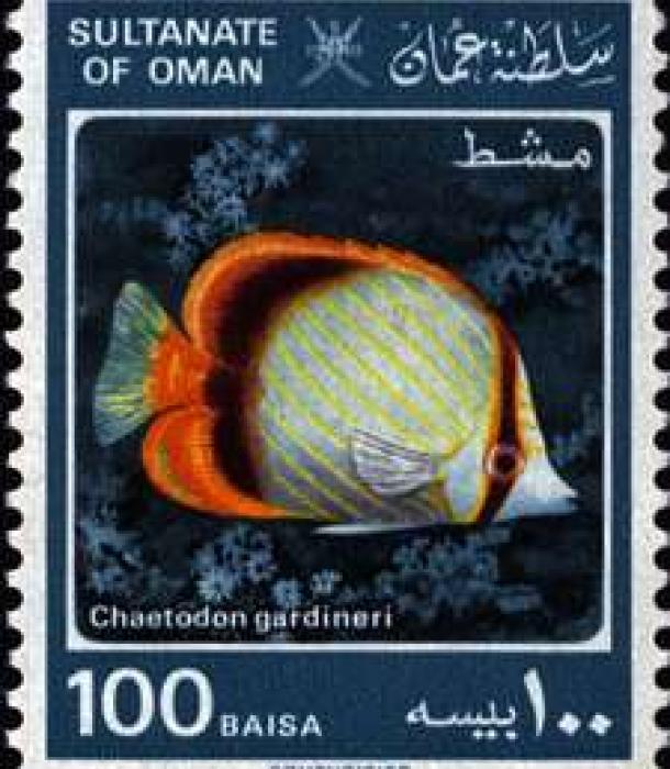 2009-Thumbnail Image-1.jpg