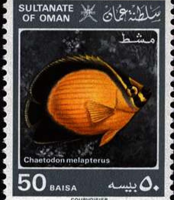 2010-Thumbnail Image-1.jpg