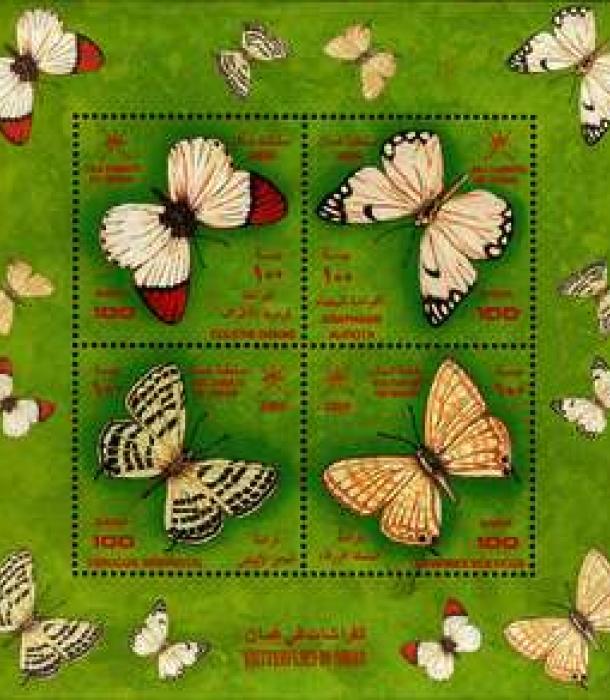 2012-Thumbnail Image-1.jpg