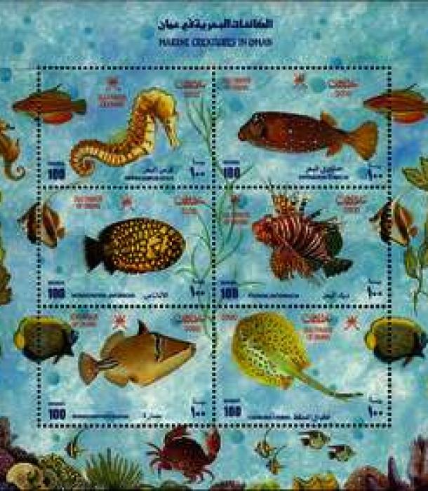 2053-Thumbnail Image-1.jpg
