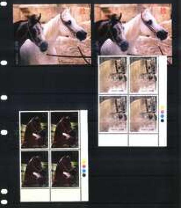 2079-Thumbnail Image-1.jpg