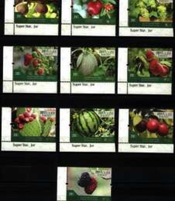 2088-Thumbnail Image-1.jpg